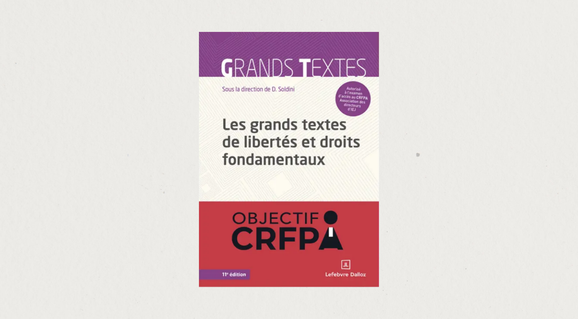 Illustration de l'article Les grands textes de libertés et droits fondamentaux - 11e édition